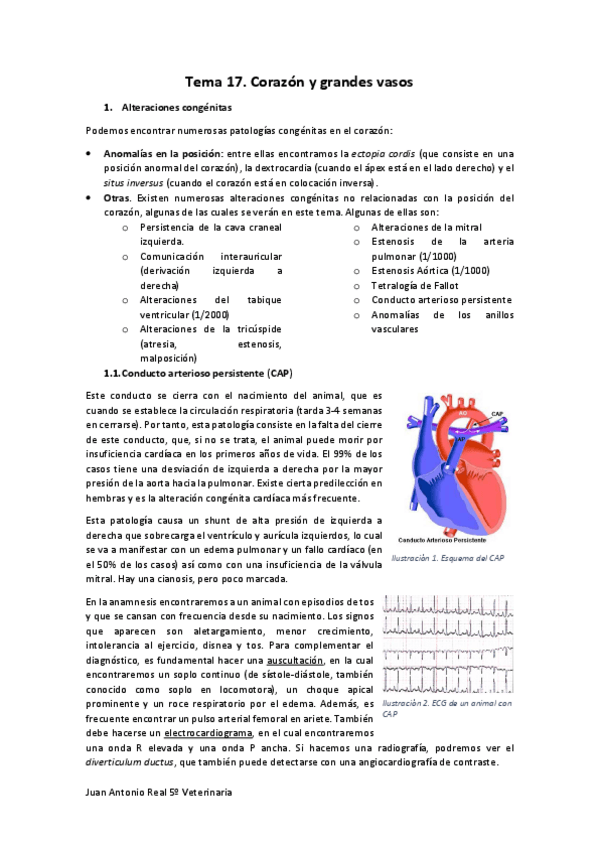 Miniatura del documento Tema-17.pdf