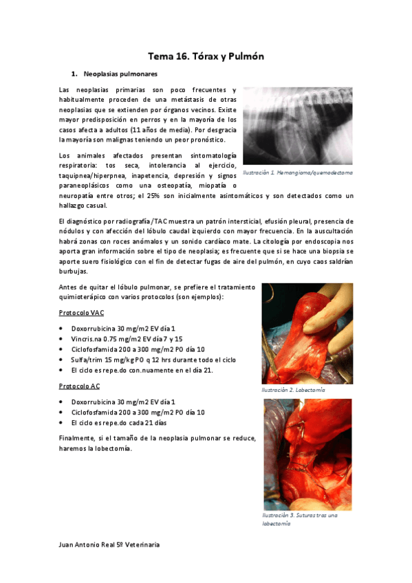 Miniatura del documento Tema-16.pdf