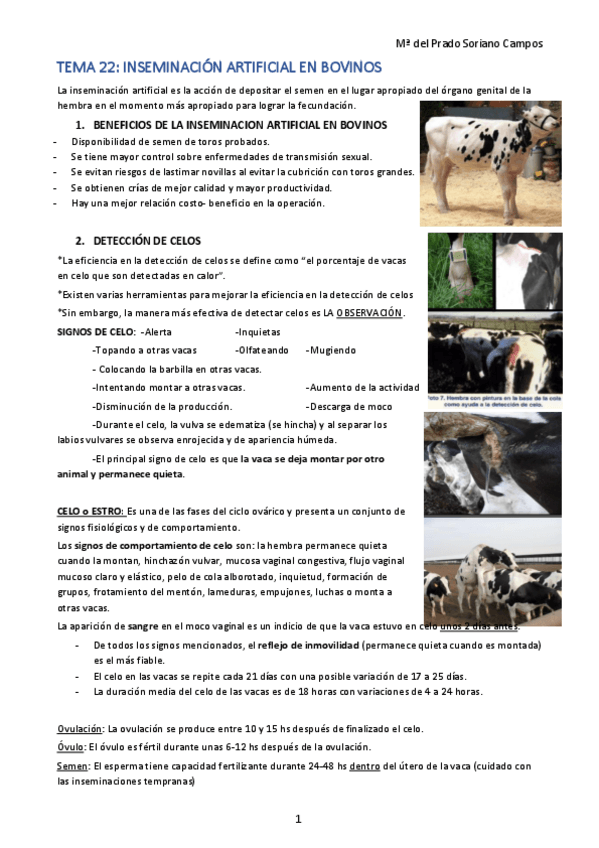 Miniatura del documento 22.pdf