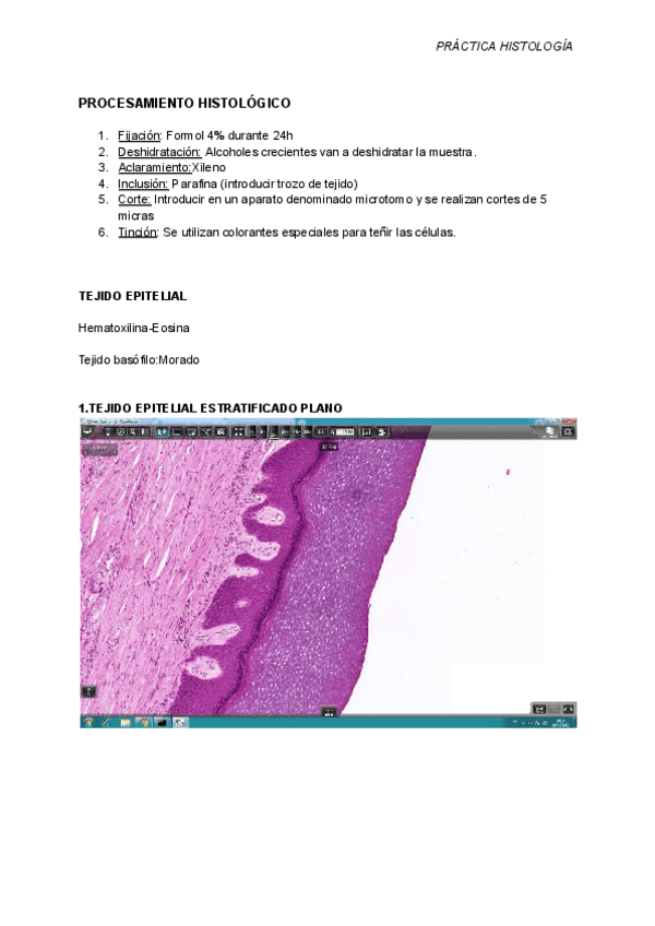 Miniatura del documento PRACTICA-HISTOLOGIA20DICIEMBRE-1compressed-1.pdf