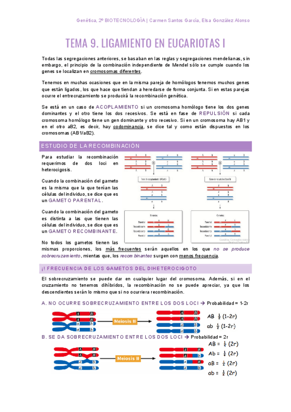Miniatura del documento genetica2parcial.pdf