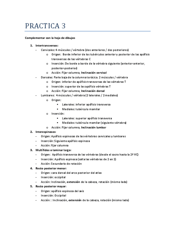 Miniatura del documento P3-anatomia.pdf