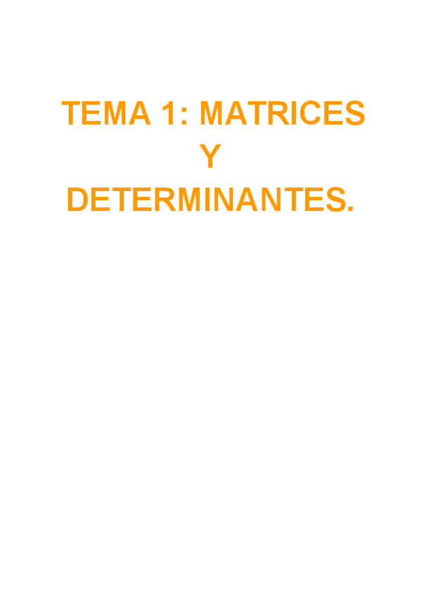 Miniatura del documento T.1-Matrices-y-determinantes.pdf