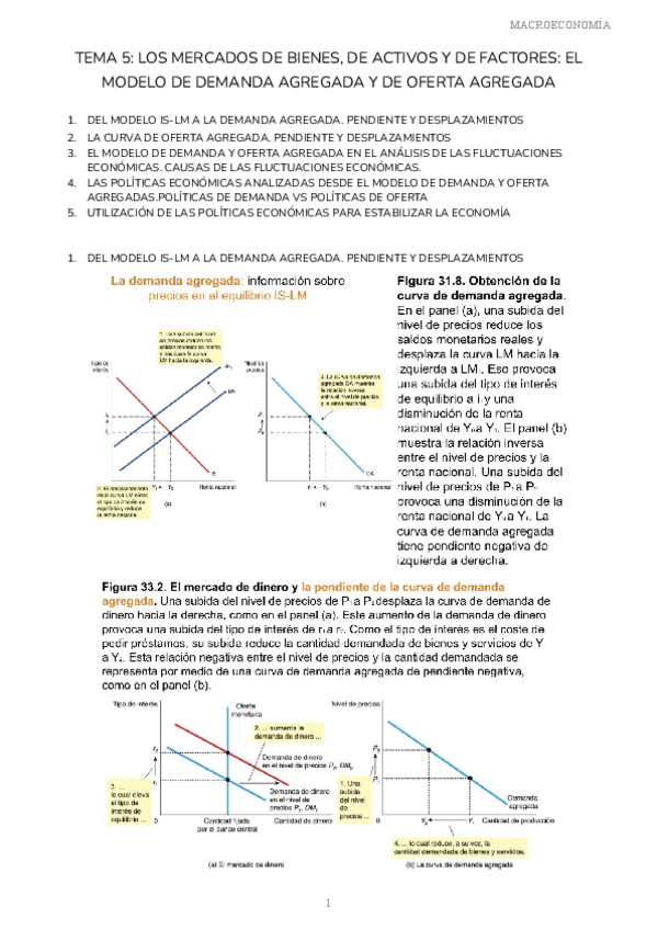 Miniatura del documento MACROECONOMIA-TEMA-5.pdf