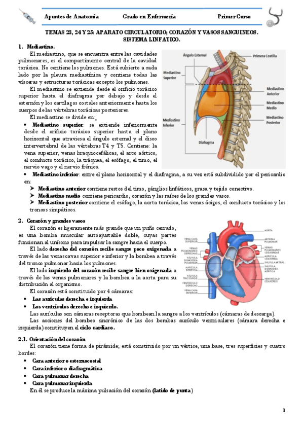 Miniatura del documento TEMA 23- 24 Y 25 APARATO CIRCULATORIO.pdf