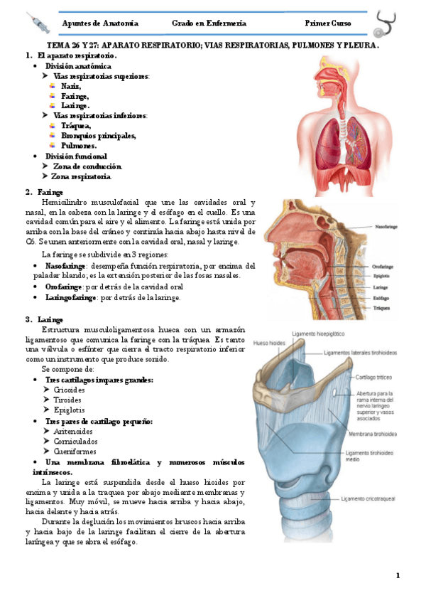 Miniatura del documento TEMA 26 Y 27 APARATO RESPIRATORIO.pdf
