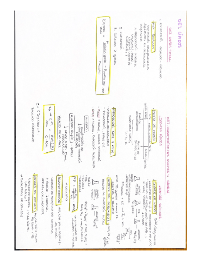 Miniatura del documento analisis-lipidos.pdf