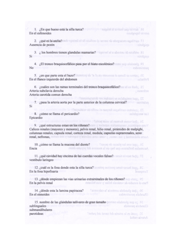 Miniatura del documento posibles-preguntas-anatomia.pdf