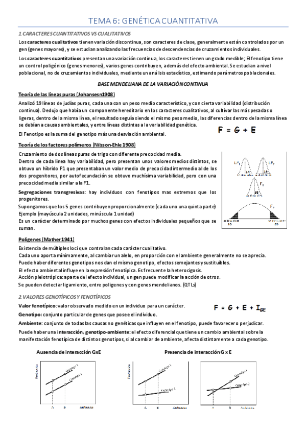 Miniatura del documento Tema-6-apuntes.pdf