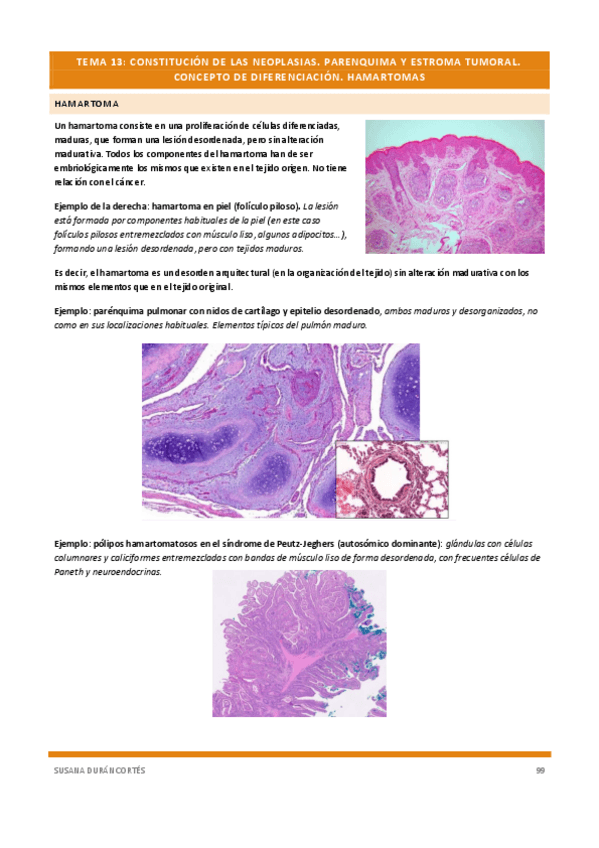 Miniatura del documento Documento-114removed-16.pdf