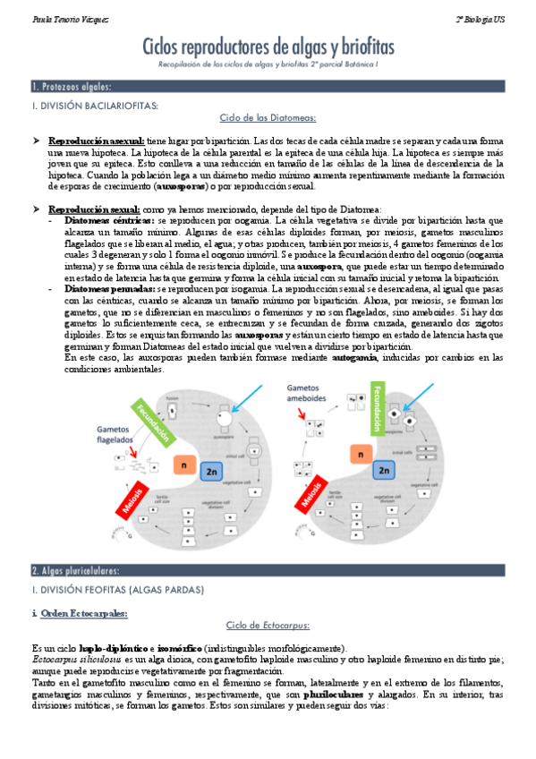 Miniatura del documento Ciclos-reproductores-2o-parcial-Botanica-I.pdf