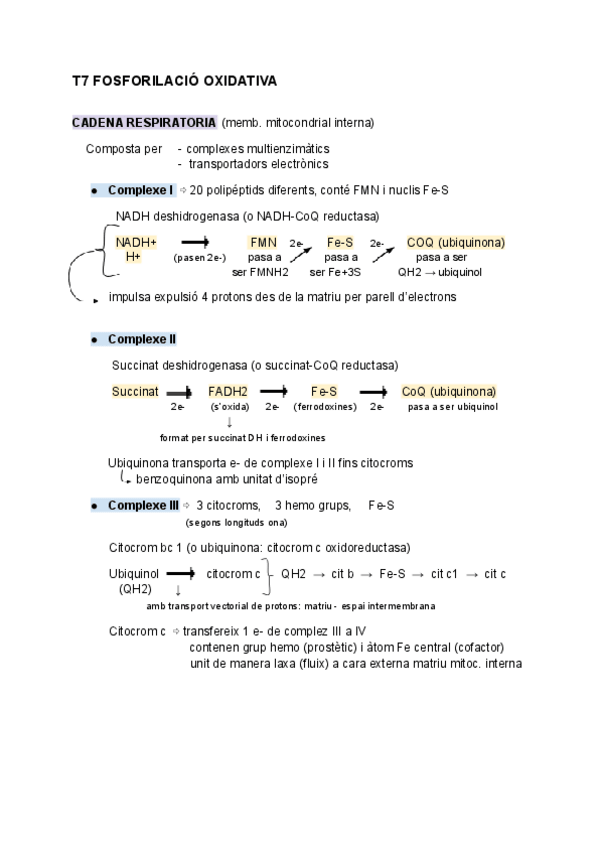 Miniatura del documento apunts-bioquimica-P2.pdf