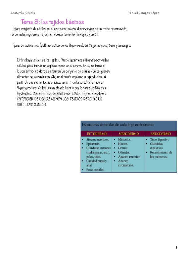 Miniatura del documento T3.-TEJIDOS.pdf