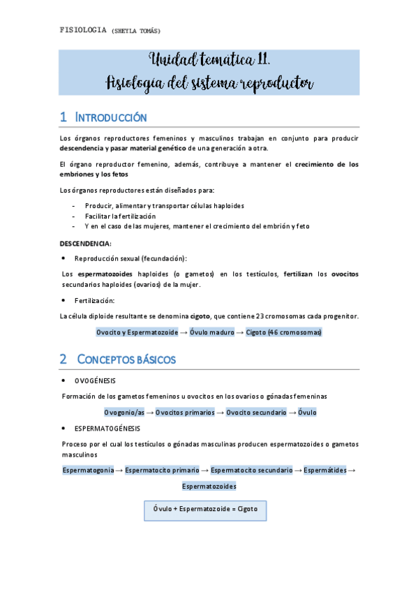 Miniatura del documento TEMA-11.pdf