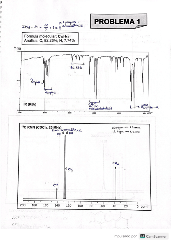 Miniatura del documento P.pdf