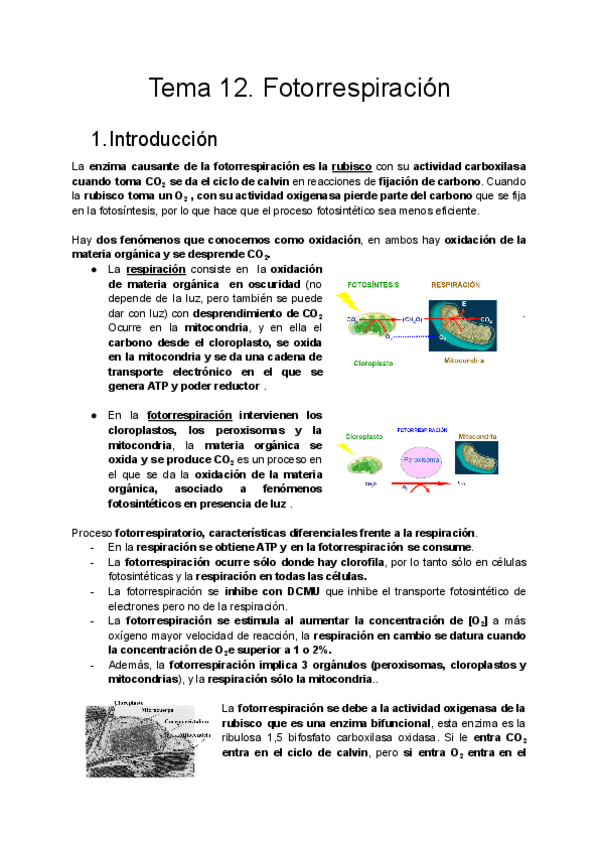 Miniatura del documento Tema-12.pdf
