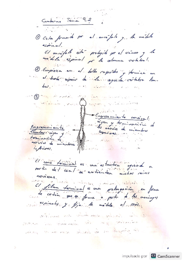 Miniatura del documento Cuaderno-9.pdf