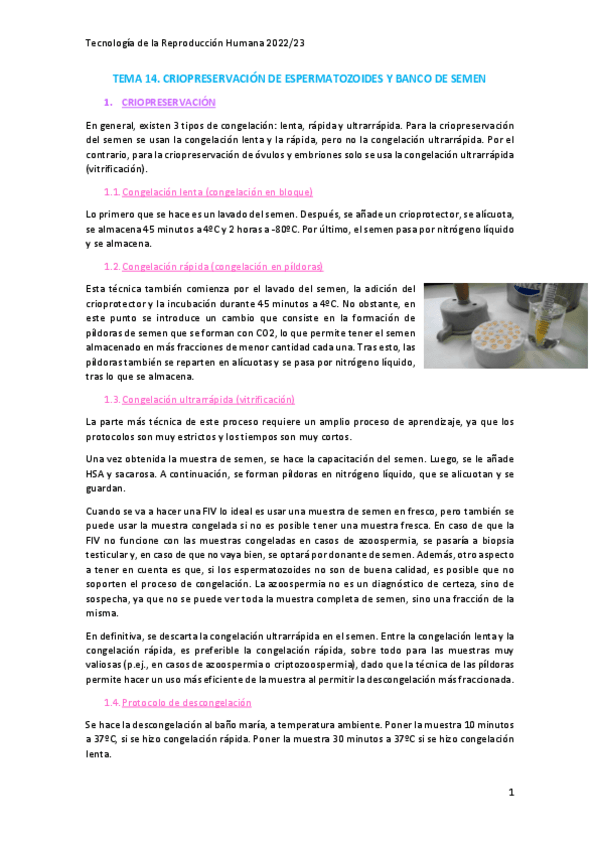 Miniatura del documento Tema-14.pdf