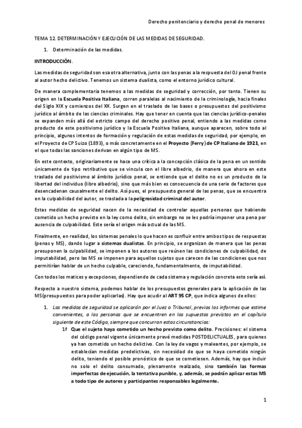 Miniatura del documento TEMA-12-MEDIDAS-DE-SEGURIDAD.pdf