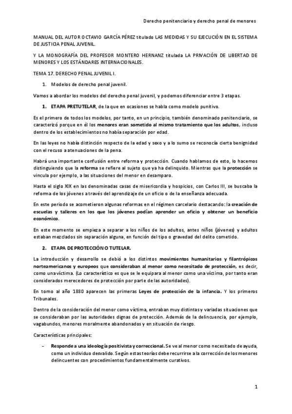 Miniatura del documento TEMA-17-DERECHO-PENAL-JUVENIL.pdf
