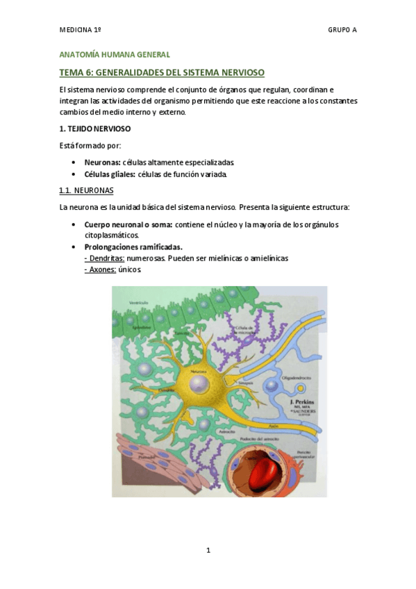 Miniatura del documento TEMA 6 - GENERALIDADES SISTEMA NERVIOSO.pdf