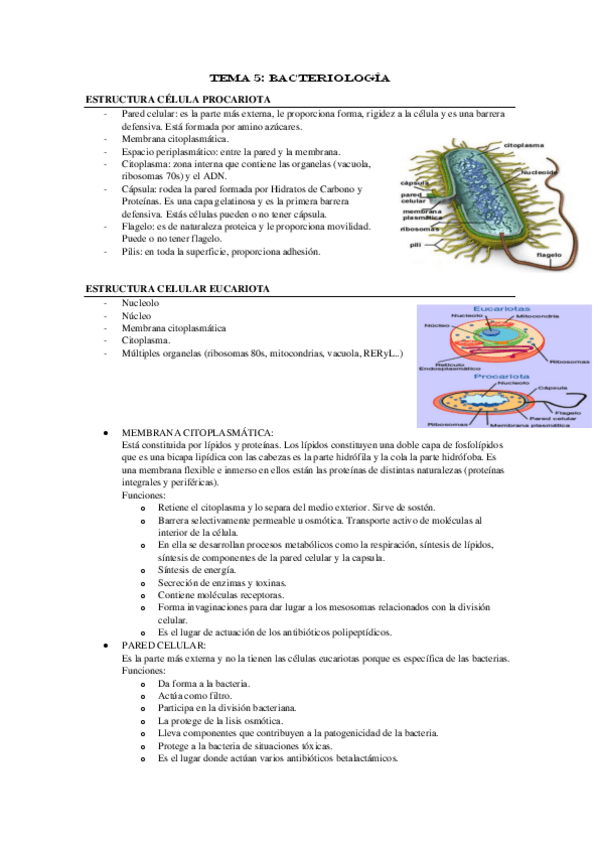 Miniatura del documento TEMA-5-micro.pdf