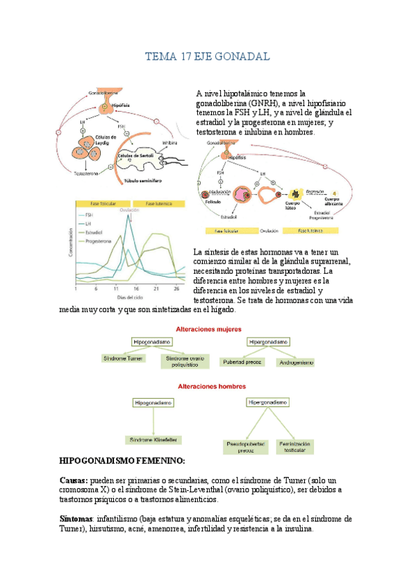 Miniatura del documento Tema-17-Eje-Gonadal.pdf
