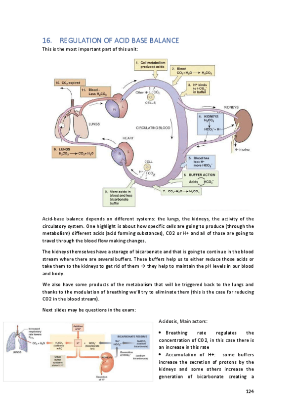 Miniatura del documento TEMA16.pdf