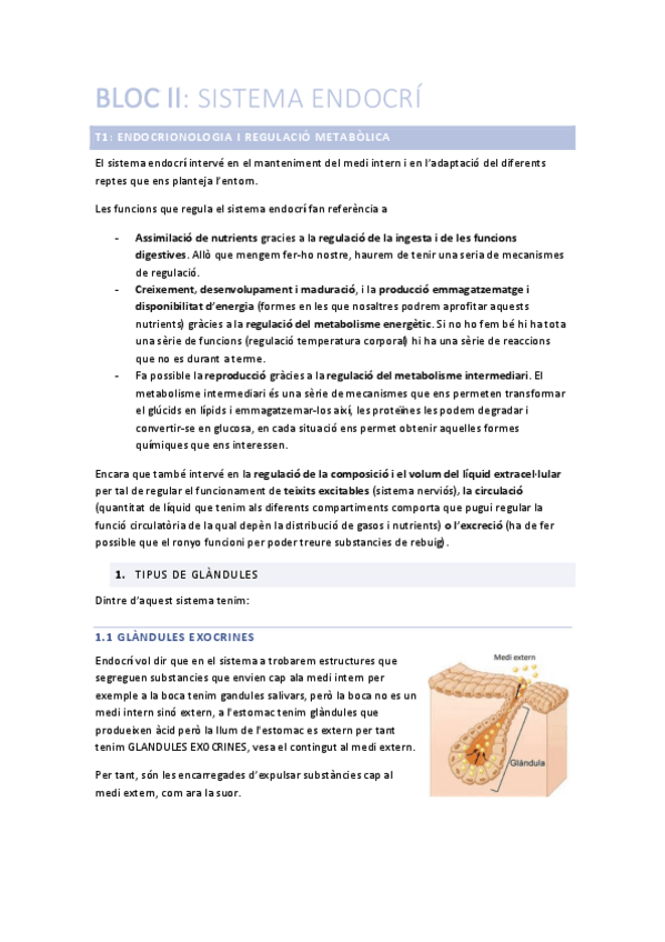 Miniatura del documento BLOC-II.pdf