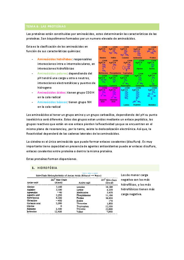 Miniatura del documento T6PROTEINAS.pdf