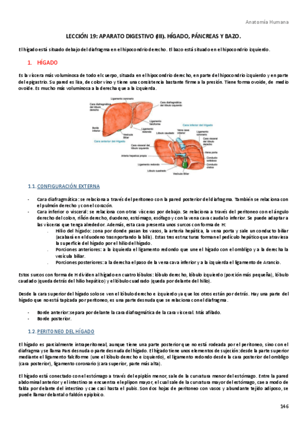 Miniatura del documento 19.pdf
