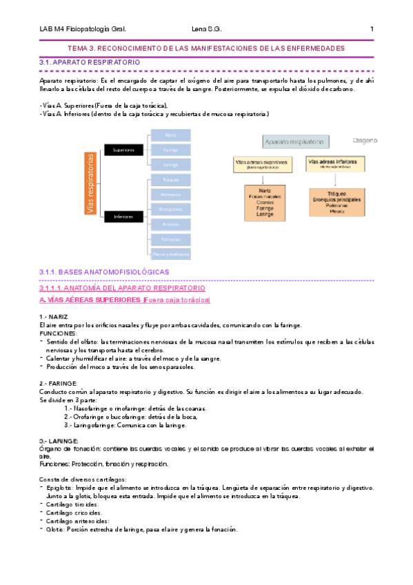Miniatura del documento 03-FG-Tema-3-Apuntes-Lena-.pdf