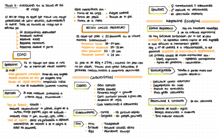 Miniatura del documento Esquemas-infancia-T9-12.pdf