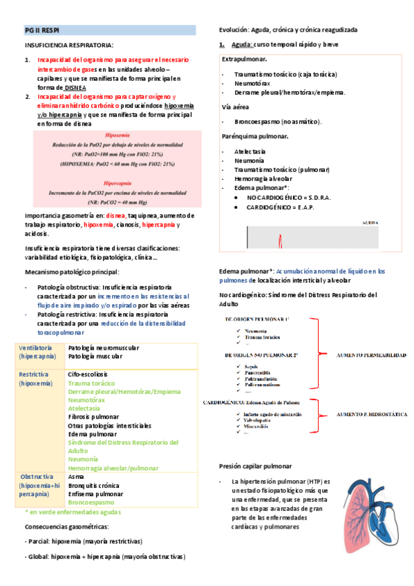 Miniatura del documento PG-II-RESPI.pdf