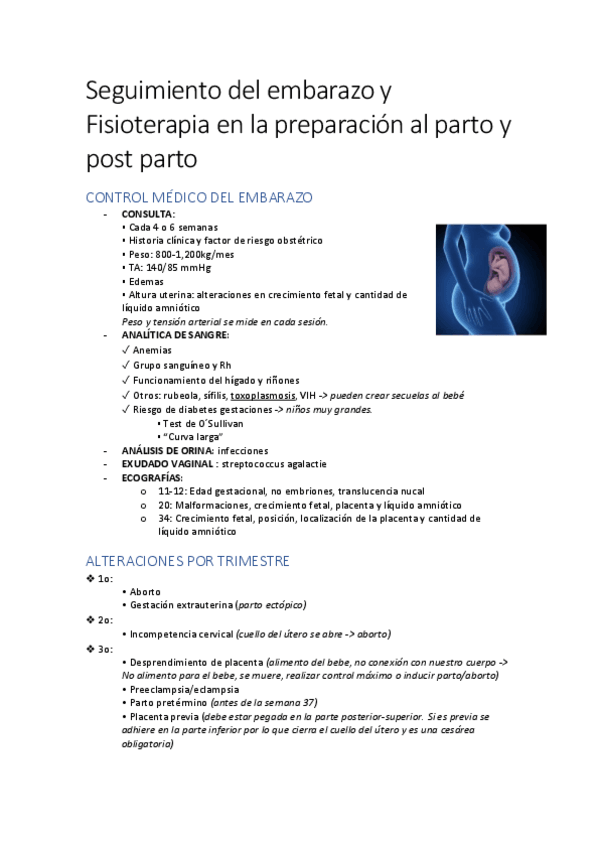 Miniatura del documento Seguimiento-del-embarazo-y-Fisioterapia-en-la-preparacion-al-parto-y-post-parto.pdf