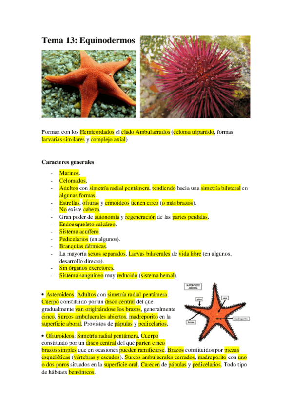 Miniatura del documento Tema-13.-Equinodermos.pdf
