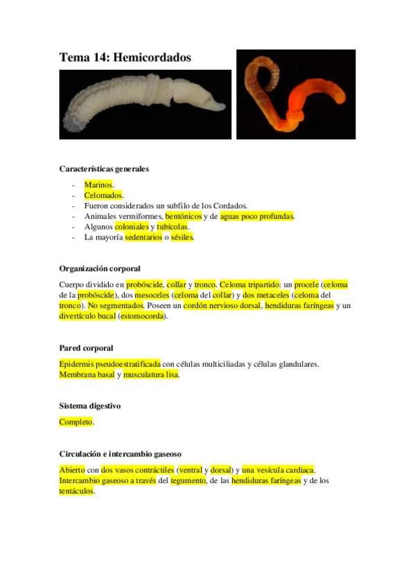 Miniatura del documento Tema-14.-Hemicordados.pdf