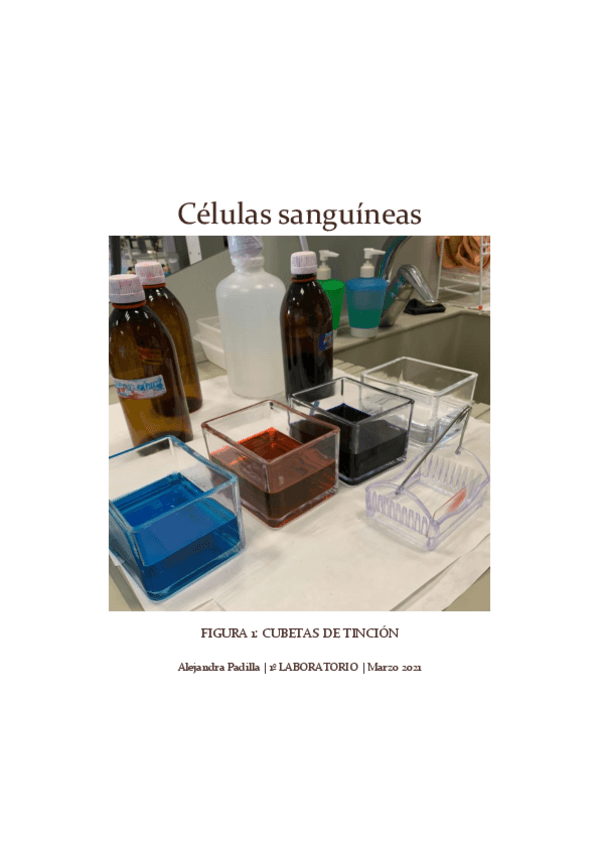 Miniatura del documento TGL-Celulas-sanguineas-INFORME.pdf
