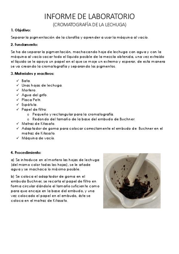 Miniatura del documento TGL-INFORME-DE-LABORATORIO-cromatografia-lechuga.pdf