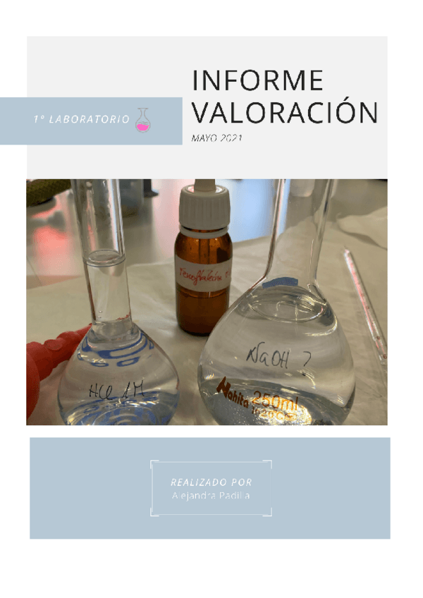 Miniatura del documento Informe-valoracion-.pdf