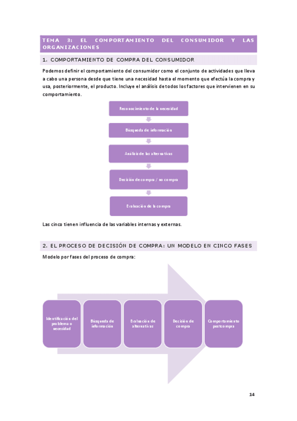 Miniatura del documento Tema-3.-El-comportamiento-del-consumidor-y-las-organizaciones.pdf