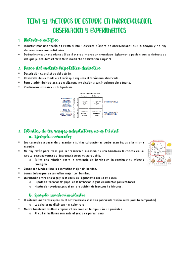 Miniatura del documento Tema-5.pdf