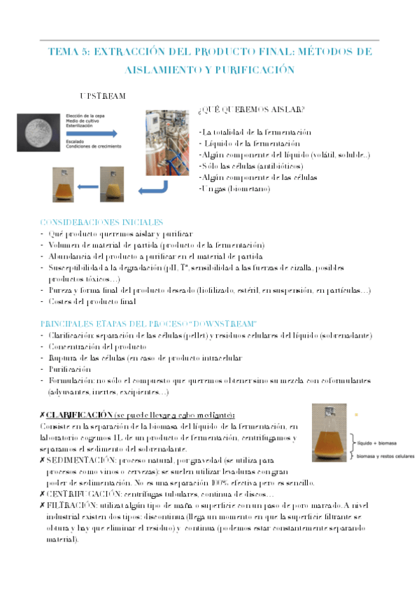 Miniatura del documento procesos-T5.pdf