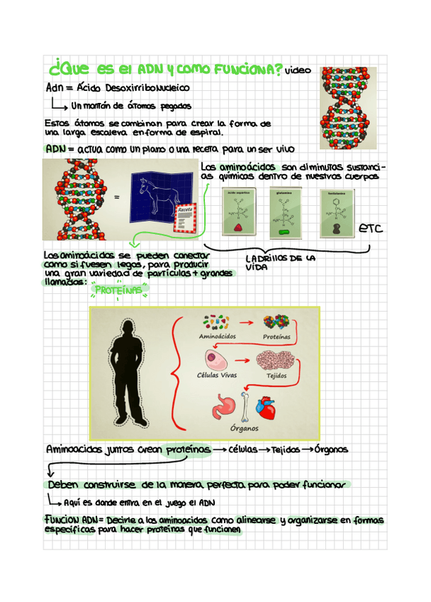 Miniatura del documento Tema-4-Proteccion-radiologica-1.pdf
