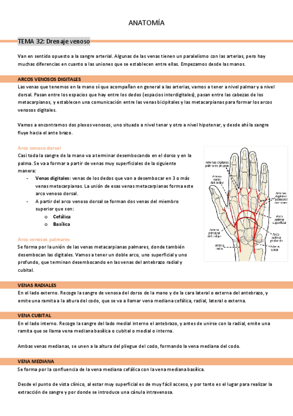 Miniatura del documento tema-32-drenaje-venoso.pdf