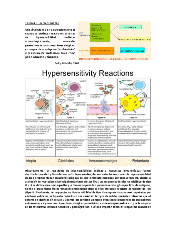 Miniatura del documento Tema 4.pdf