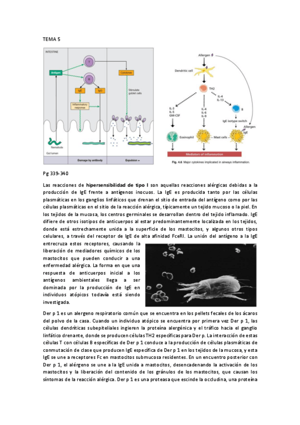 Miniatura del documento TEMA 5.pdf