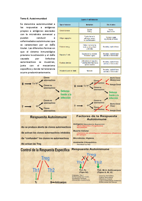 Miniatura del documento Tema 6.pdf