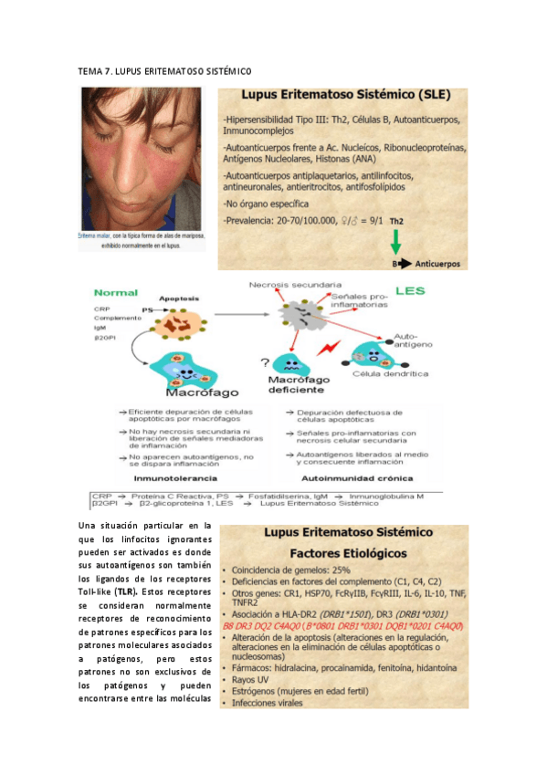 Miniatura del documento TEMA 7.pdf