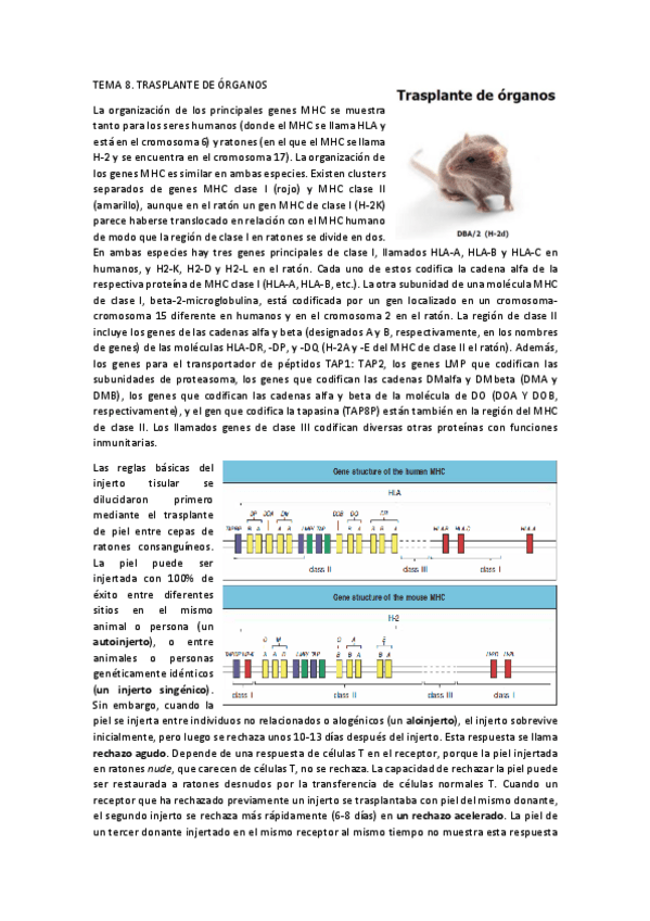 Miniatura del documento TEMA 8.pdf